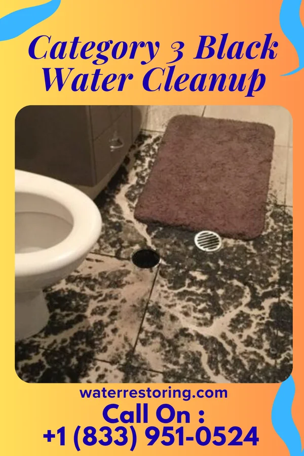 Category 3 Black Water Cleanup in Northview, MI