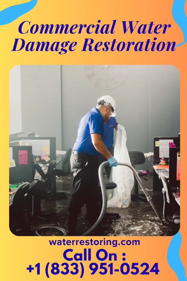 Commercial Water Damage Restoration in Northview, MI