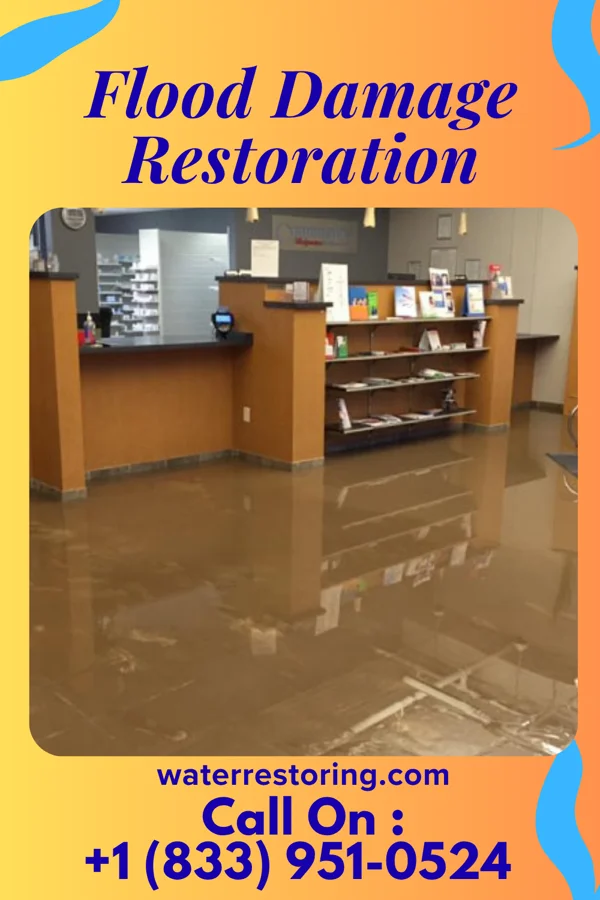 Flood Damage Restoration in Northview, MI